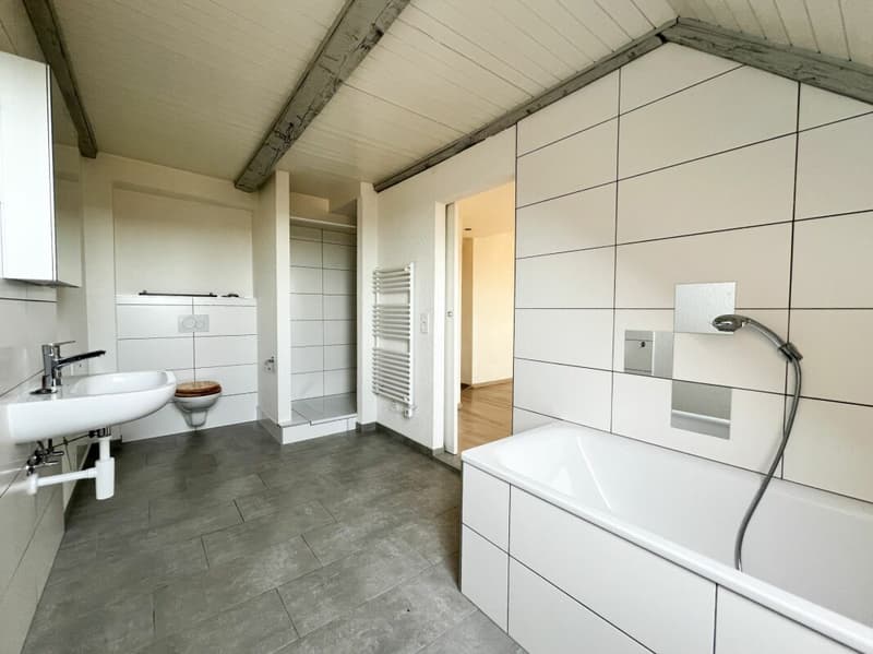 Chaleureux appartement de 3.5 pièces à la campagne (5)