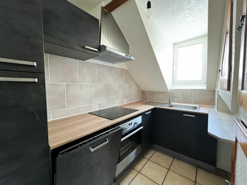 Appartement mansardé de 4.5 pièces à proximité des commodités (3)