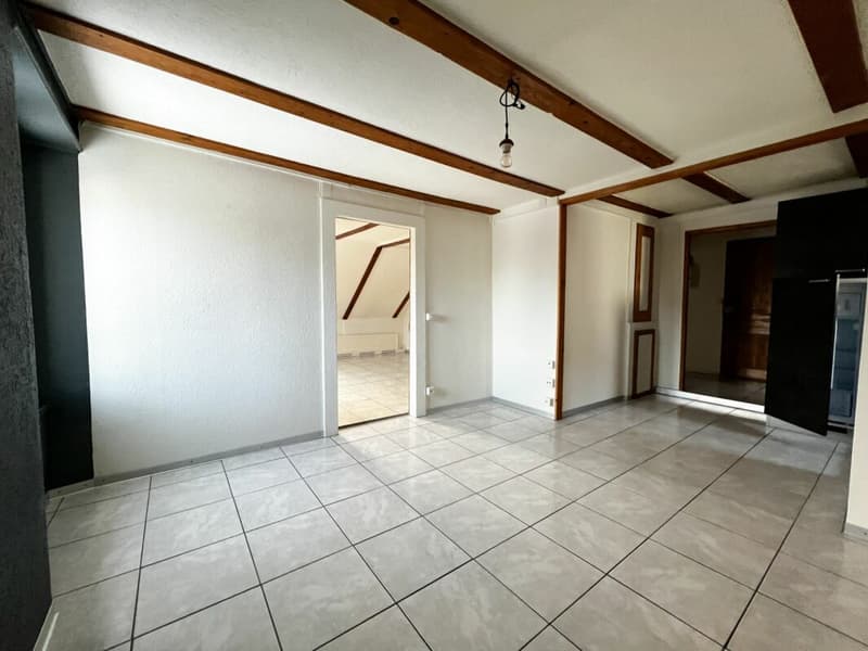 Appartement mansardé de 4.5 pièces à proximité des commodités (5)