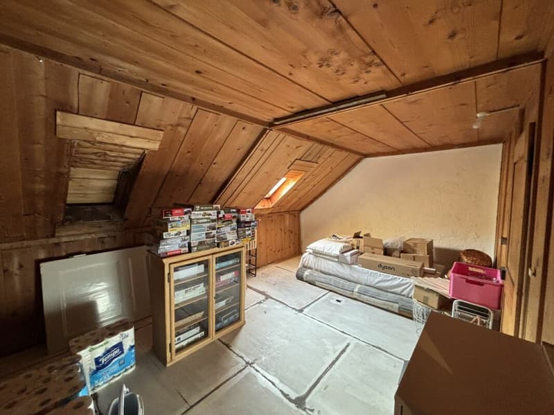 Bel immeuble familial avec terrasse et jardin (17)