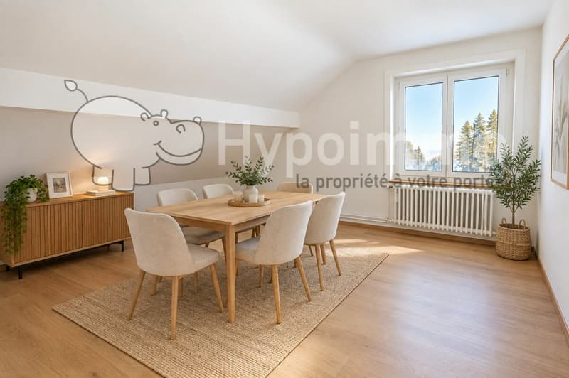 Grand appartement de 4.5 pièces (1)