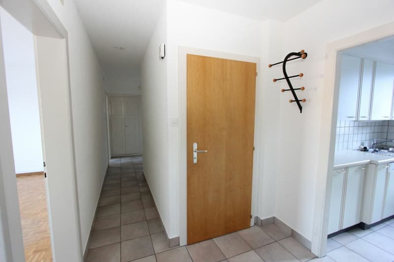 Grand appartement de 4.5 pièces (7)