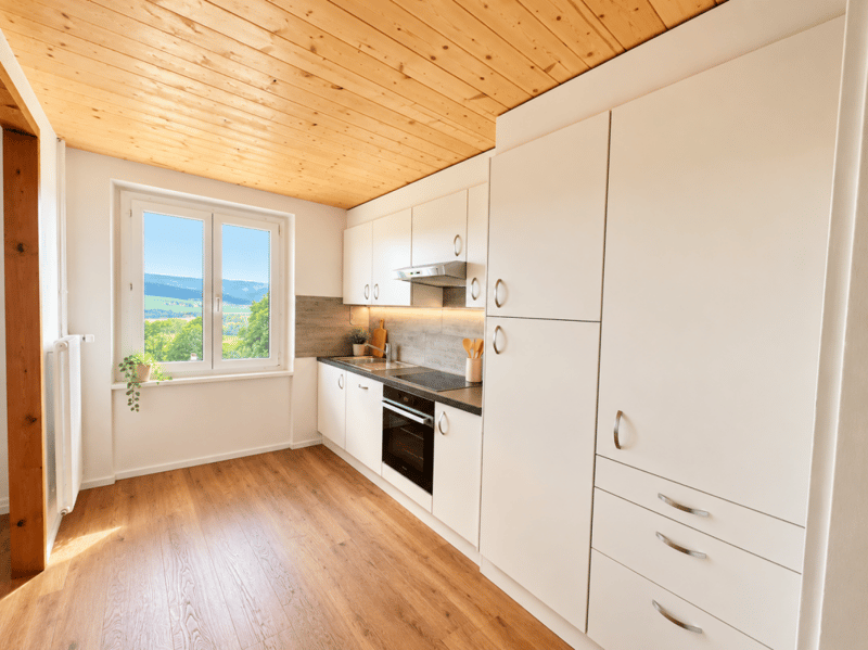 Appartement entièrement rénové de 2.5 pièces (2)
