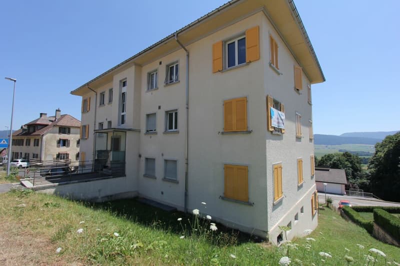 Appartement entièrement rénové de 2.5 pièces (7)