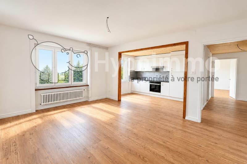 Appartement entièrement rénové de 2.5 pièces (1)
