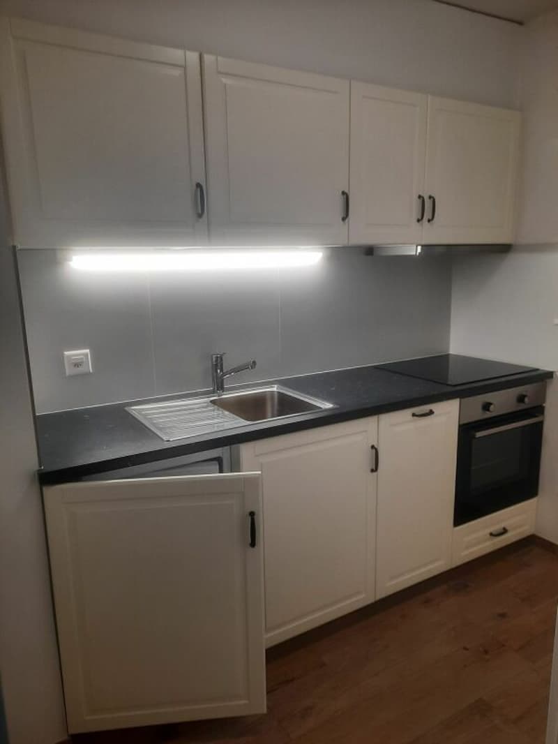 Appartement de 2.5 pièces - Sierre (3)