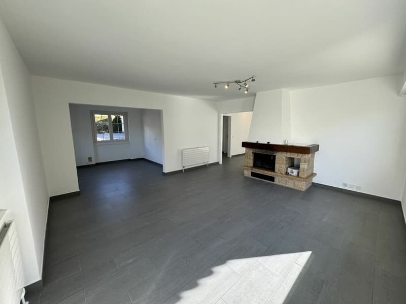 Villa individuelle de 11 pièces (7)