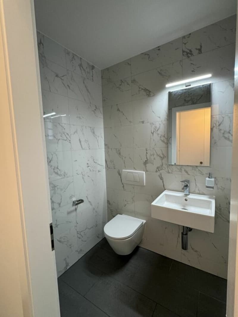 Villa individuelle de 11 pièces (15)