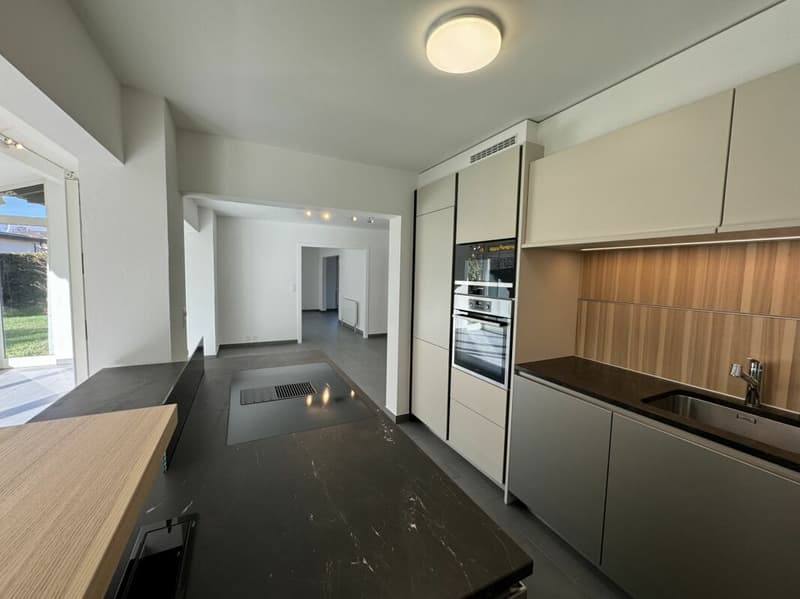Villa individuelle de 11 pièces (3)