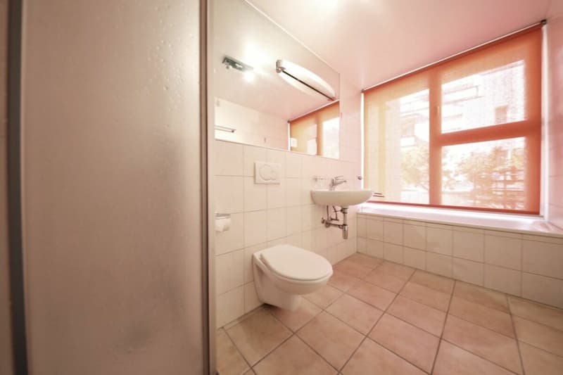 Appartement 4.5 pièces au rez (5)
