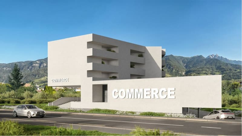 Surfaces commerciales modulables - Saxon (2)