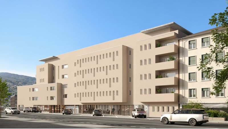 Surfaces commerciales modulables - Sion (2)