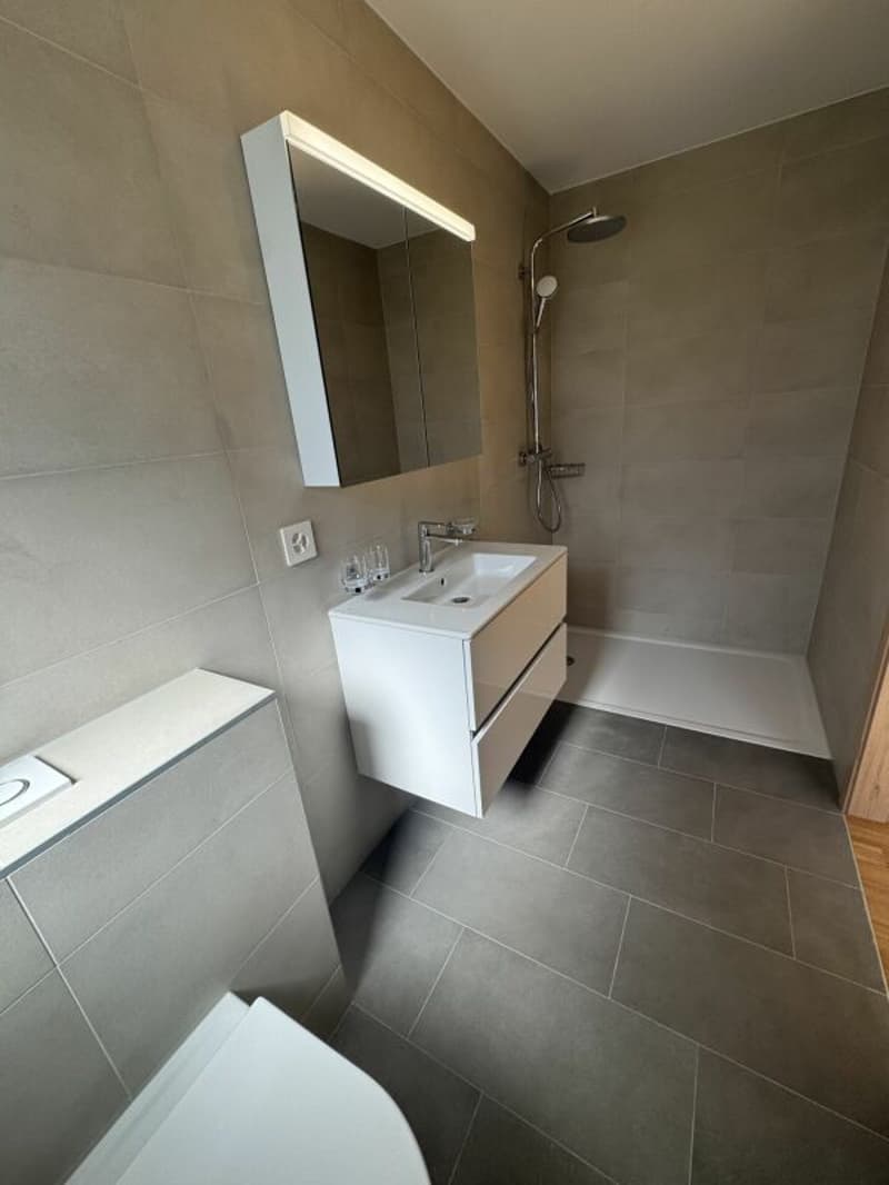 Appartement neuf de 4.5 pièces situé au centre de Riddes (9)