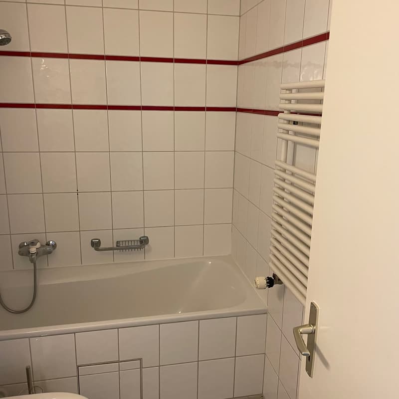 Joli appartement avec grand salon (6)