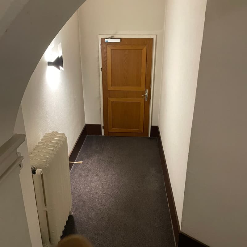 Joli appartement avec grand salon (10)