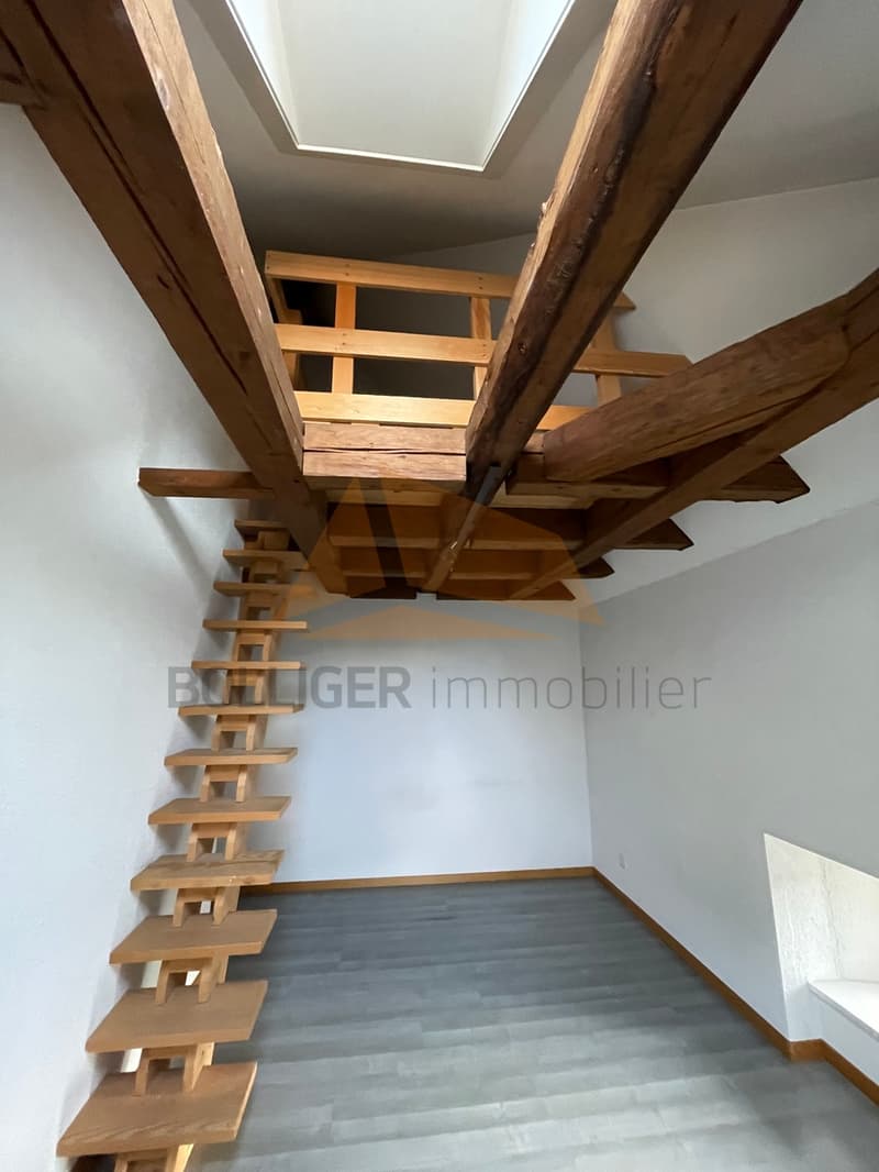 A VENDRE APPARTEMENT 130 M2 DE 4.5 PIÈCES AVEC MEZZANINE (9)