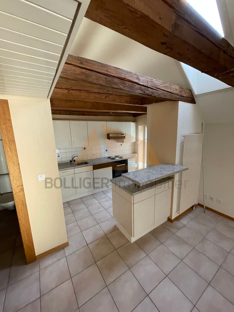 A VENDRE APPARTEMENT 130 M2 DE 4.5 PIÈCES AVEC MEZZANINE (6)