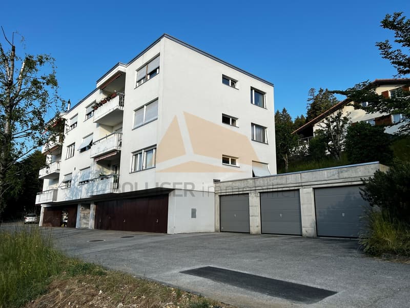 A VENDRE   Appartement de 5.5 pièces et garage en PPE (2)