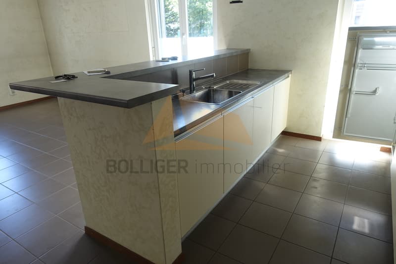 A vendre pour investisseurs  Appartement en PPE de 5.5 pièces (9)