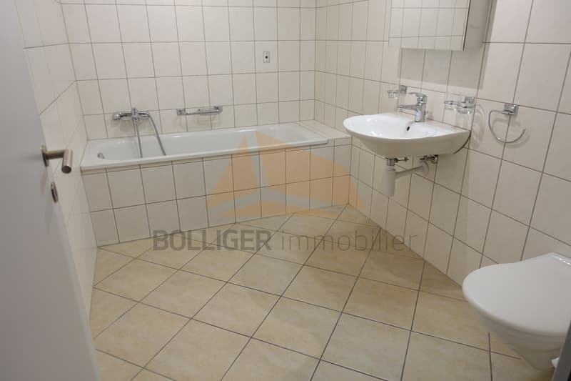 A vendre pour investisseurs  Appartement en PPE de 5.5 pièces (11)
