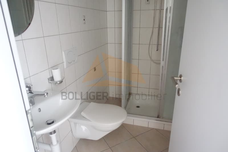 A vendre pour investisseurs  Appartement en PPE de 5.5 pièces (12)