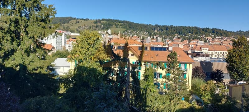 A VENDRE APPARTEMENT DE 4,5 PIÈCES AVEC BALCON ET GARAGE BOX (8)