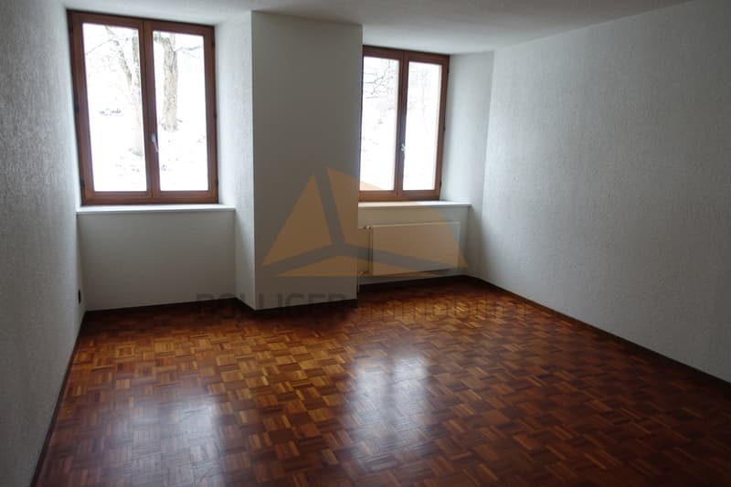 A VENDRE GRAND APPARTEMENT DE 6 PCES DUPLEX + CARNOTZET (9)