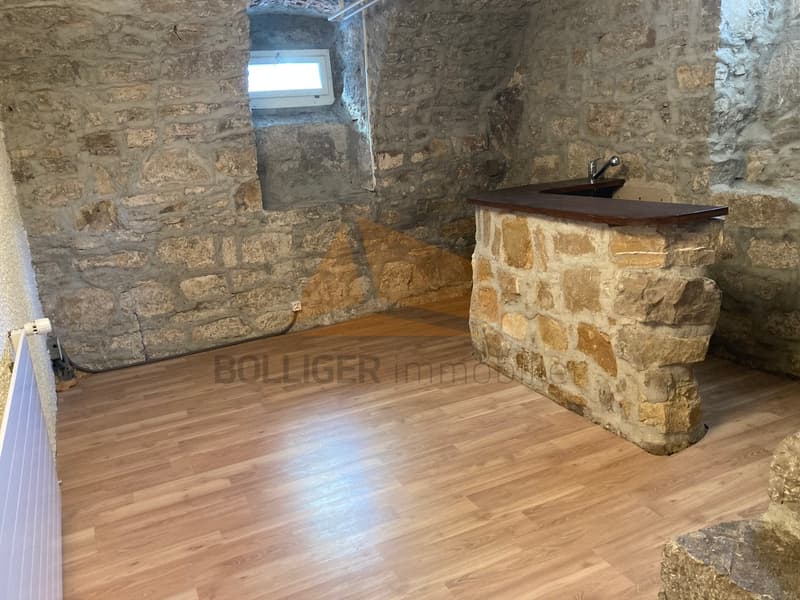 A VENDRE GRAND APPARTEMENT DE 6 PCES DUPLEX + CARNOTZET (13)