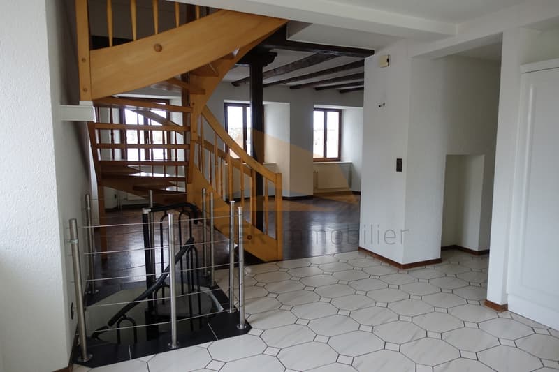 A VENDRE GRAND APPARTEMENT DE 6 PCES DUPLEX + CARNOTZET (3)
