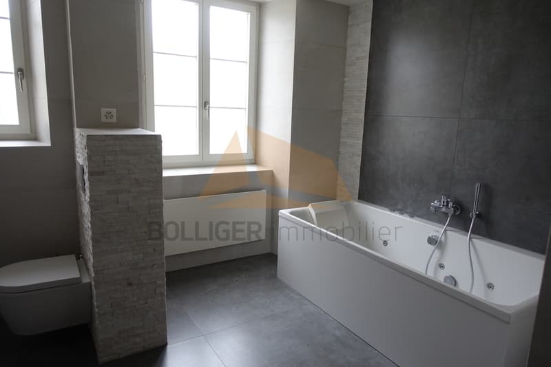A VENDRE GRAND APPARTEMENT DE 6 PCES DUPLEX + CARNOTZET (11)