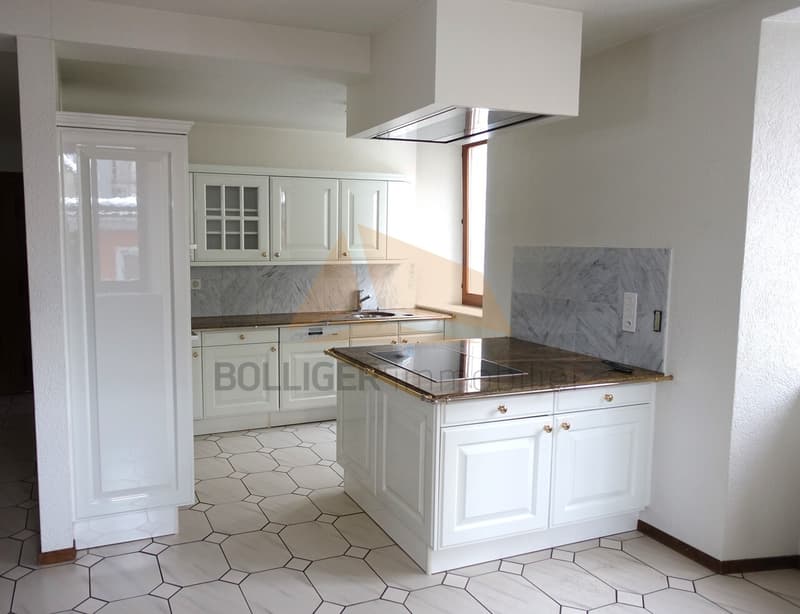 A VENDRE GRAND APPARTEMENT DE 6 PCES DUPLEX + CARNOTZET (2)