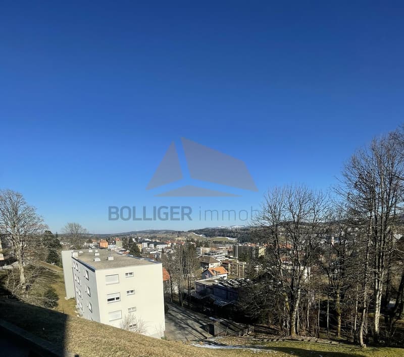A VENDRE APPARTEMENT DE 4.5 PIÈCES EN PPE ET GARAGE (1)