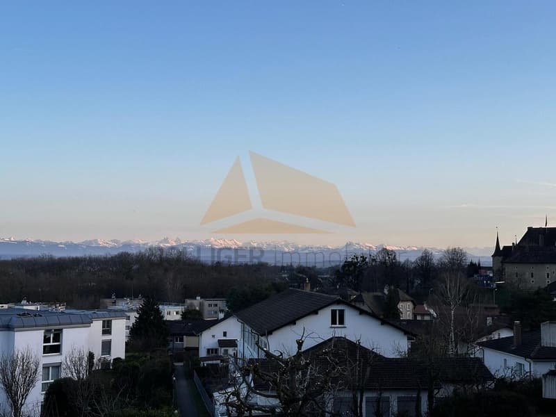A VENDRE MAGNIFIQUE APPARTEMENT DE 4,5 PIÈCES EN PPE DE 137 M2 (13)