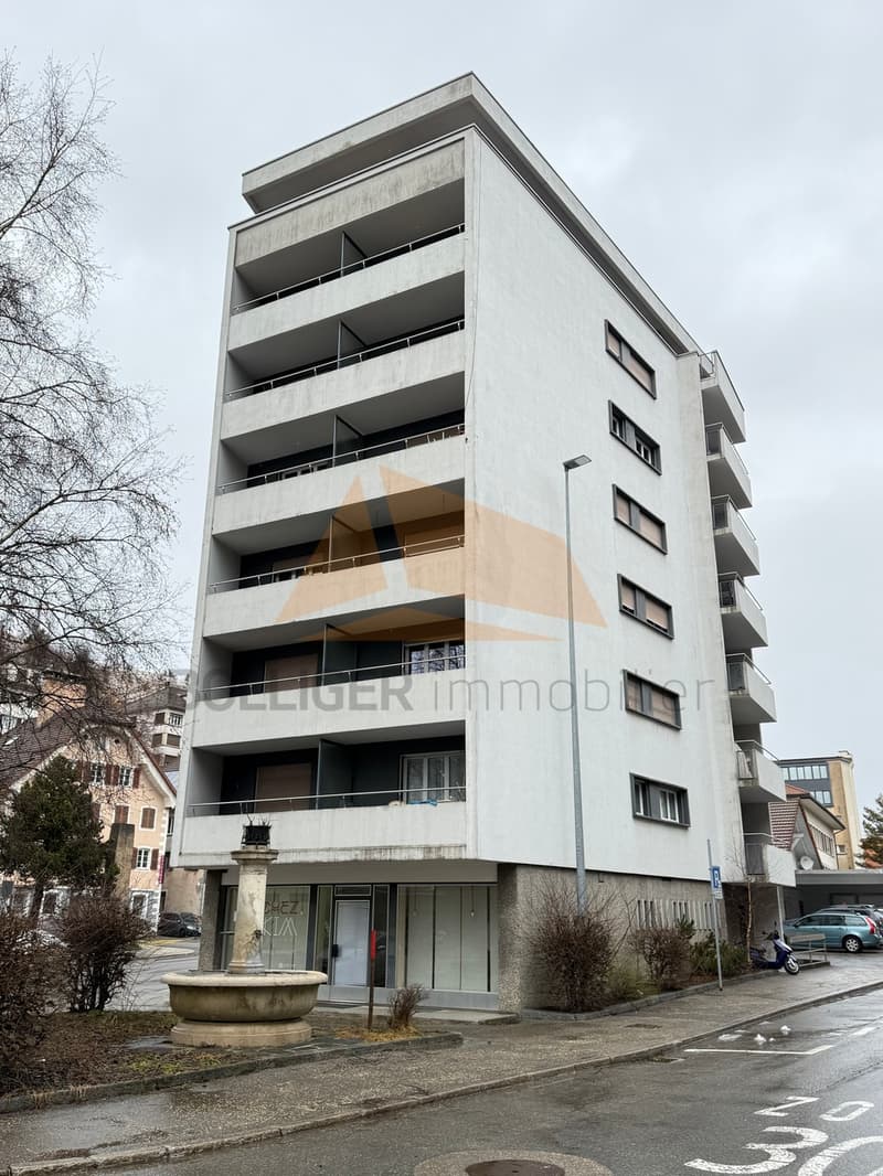 A VENDRE IMMEUBLE MIXTE (4)
