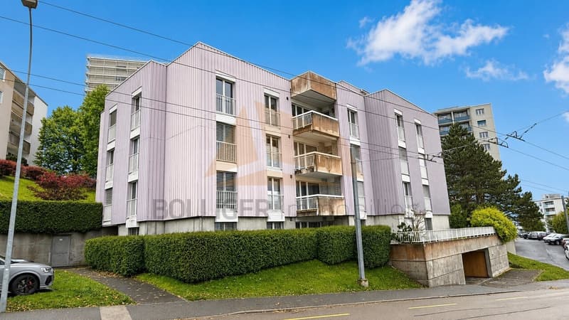 A VENDRE APPARTEMENT 3.5 PIÈCES AVEC GARAGE BOX (2)