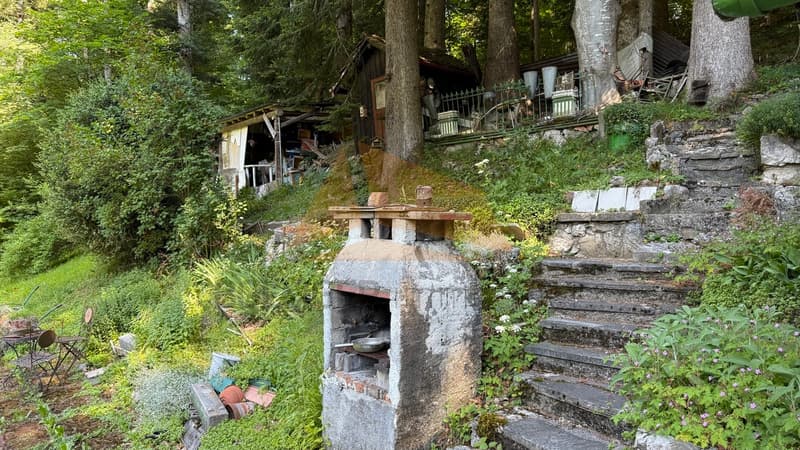 A VENDRE CHARMANTE PETITE MAISON FORESTIÈRE "CASITA" (3)