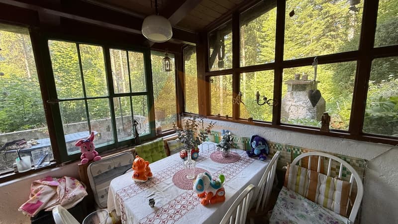 A VENDRE CHARMANTE PETITE MAISON FORESTIÈRE "CASITA" (2)