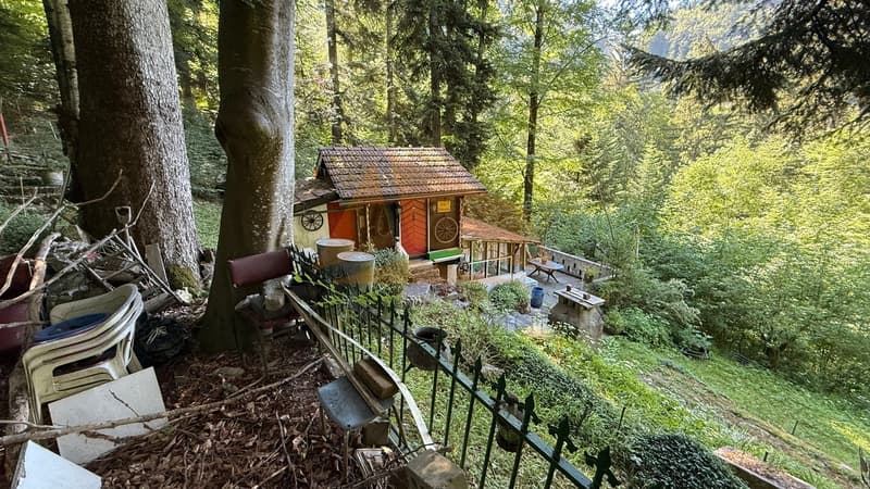 A VENDRE CHARMANTE PETITE MAISON FORESTIÈRE "CASITA" (4)