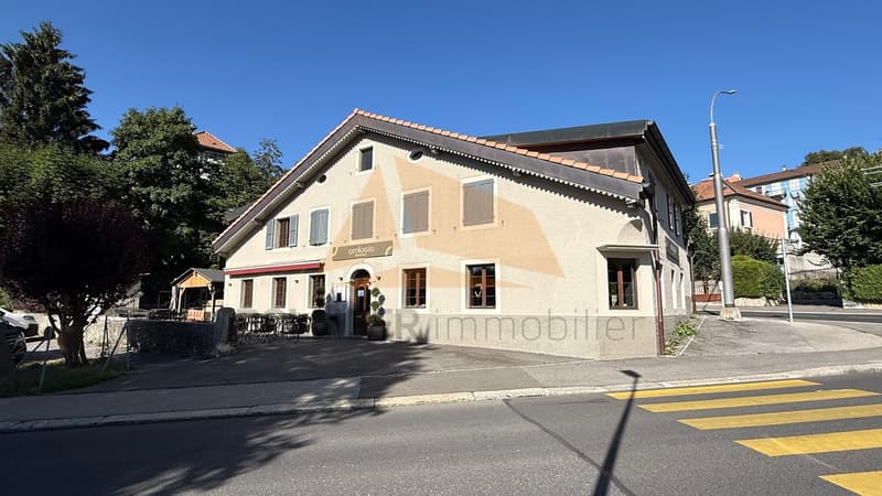 A VENDRE TRÈS BEL IMMEUBLE MIXTE (2)