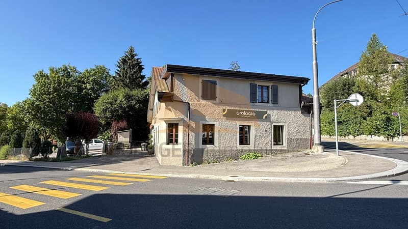 A VENDRE TRÈS BEL IMMEUBLE MIXTE (3)