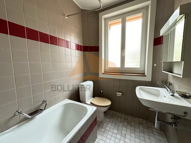 A VENDRE Appartement 2 pièces en PPE (10)