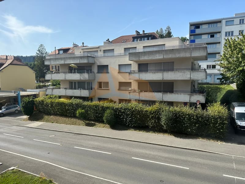 A VENDRE magnifique attique de 5.5 pièces et annexes (2)