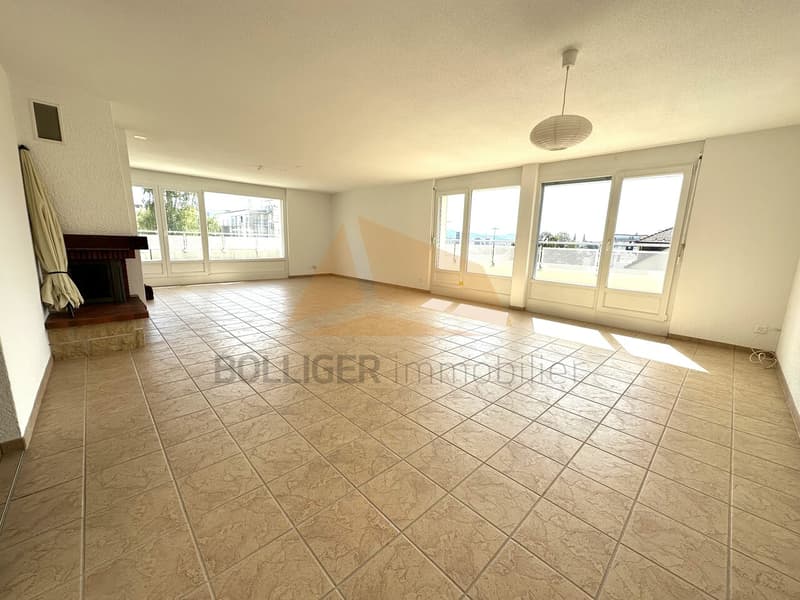 A VENDRE magnifique attique de 5.5 pièces et annexes (1)