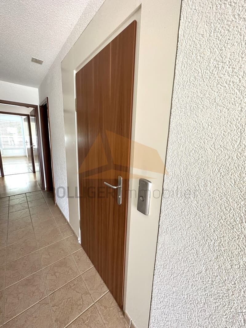 A VENDRE magnifique attique de 5.5 pièces et annexes (3)