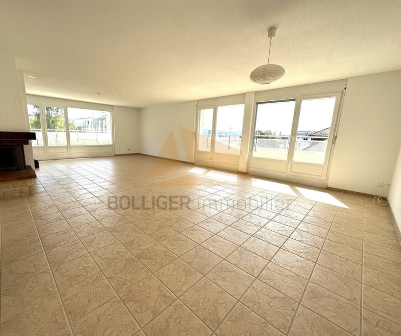 A VENDRE magnifique attique de 5.5 pièces et annexes (1)