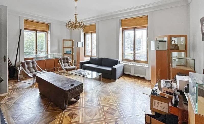 Hôtel particulier d'exception au coeur de la ville (7)