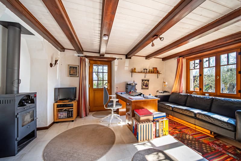 Peney-Dessus Spacieux duplex 7 pièces avec jardin (7)