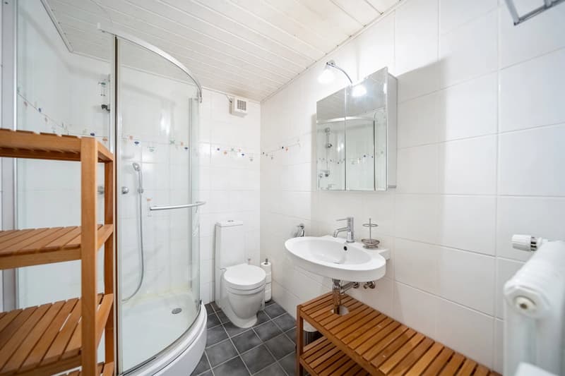 Peney-Dessus Spacieux duplex 7 pièces avec jardin (10)
