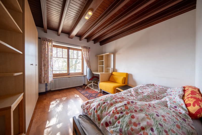 Peney-Dessus Spacieux duplex 7 pièces avec jardin (12)