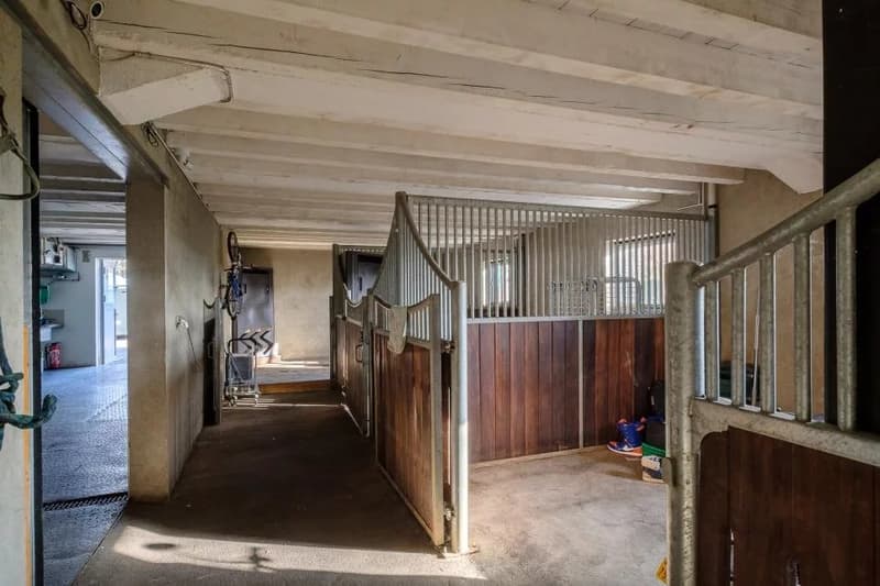 Propriété équestre à Genève Rive gauche (8)